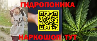 шишки Кумертау